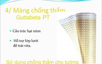 Màng chống thấm Gutta PT ( Chống thấm tường )