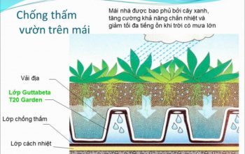 Màng trồng cây trên mái sân thượng